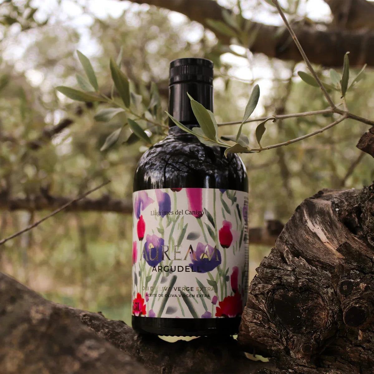 AUREAM ARGUDELL 西班牙 Empordà DOP 精品特級初榨橄欖油 500ml